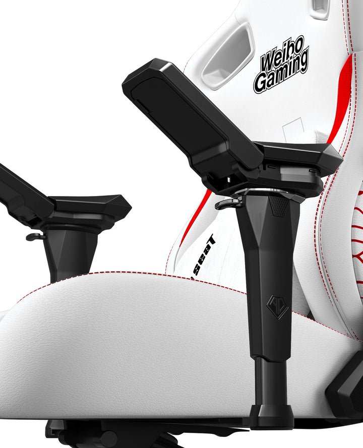 AndaSeat Kaiser 3 Pro 5D Armrest Gaming Chair